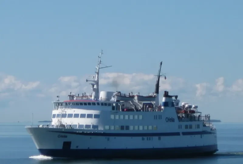 TUIZIDI Ro-Ro IMO 6809771 photo 2