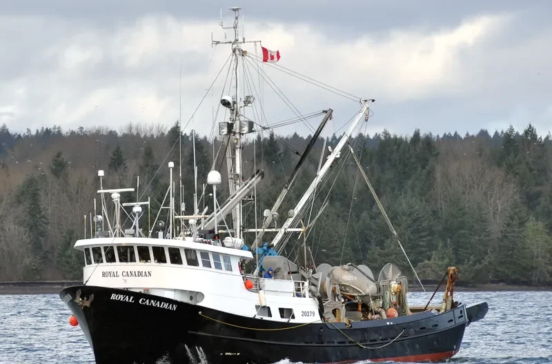 ROYAL CANADIAN General Cargo IMO 6810184 photo 3