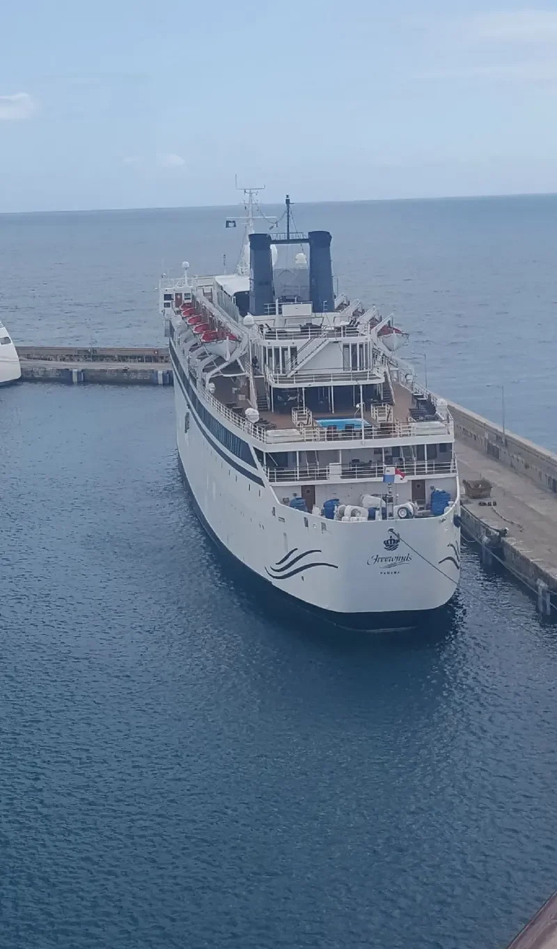 FREEWINDS Passenger Ship IMO 6810811 photo 3