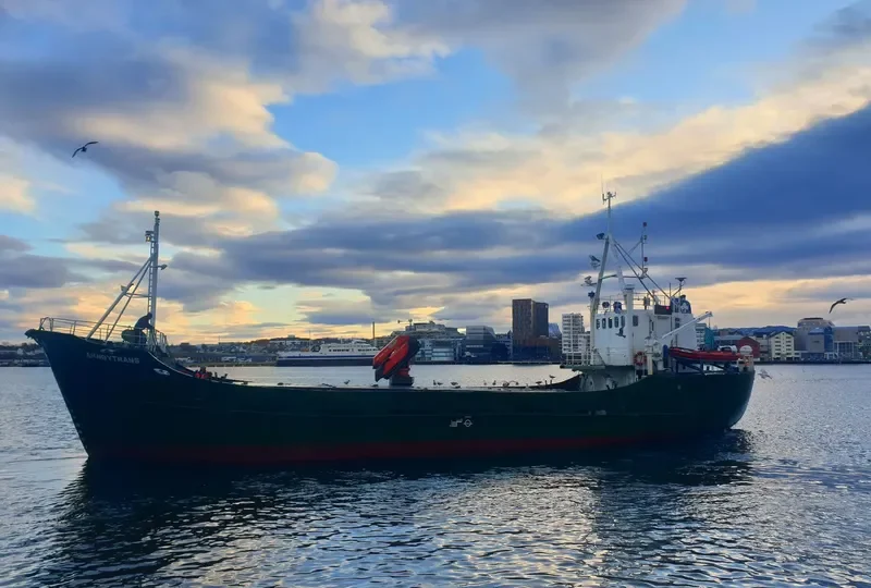 FRENGEN General Cargo IMO 6811073 photo 7