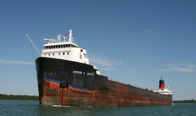 DON Bulk Carrier IMO 6815237 photo 4