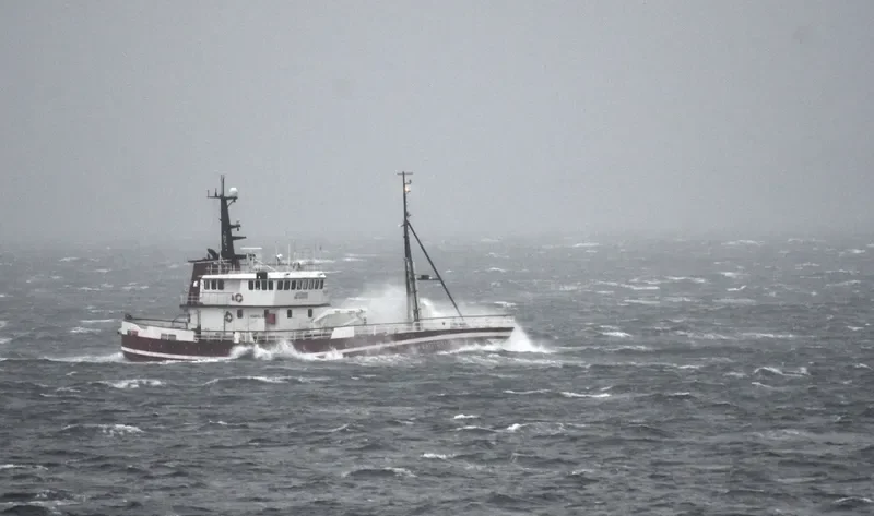 POLYNYA General Cargo IMO 6815720 photo 3