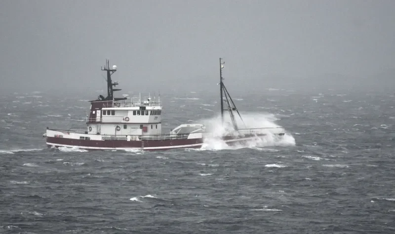 POLYNYA General Cargo IMO 6815720 photo 4