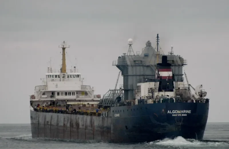 ALGOMARINE Bulk Carrier IMO 6816607 photo 3