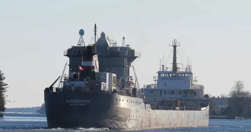ALGOMARINE Bulk Carrier IMO 6816607 photo 7