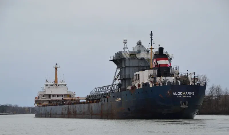 ALGOMARINE Bulk Carrier IMO 6816607 photo 8