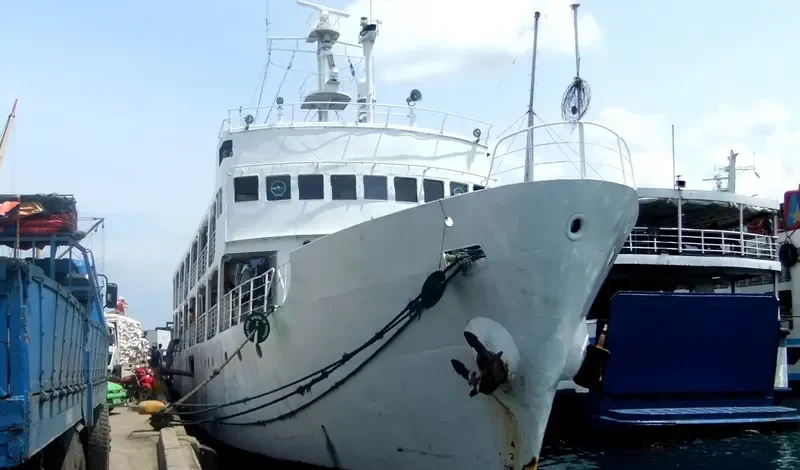CORAL WHITE General Cargo IMO 6819336 photo 2