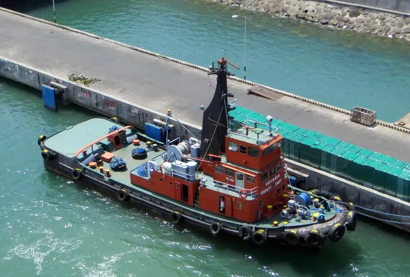 DAVTUG XII General Cargo IMO 6820086 photo 2