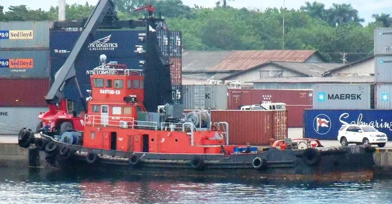 DAVTUG XII General Cargo IMO 6820086 photo 6