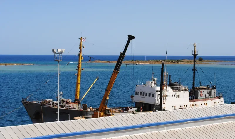 GENERAL ARSHINTSEV General Cargo IMO 6820799