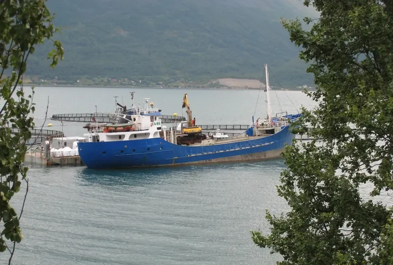 RUBIN General Cargo IMO 6820933 photo 5
