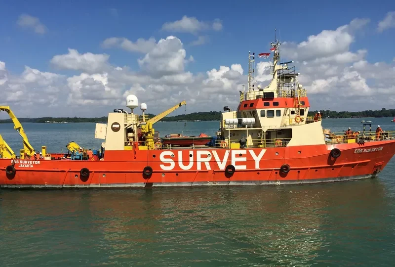 EGS SURVEYOR General Cargo IMO 6820983