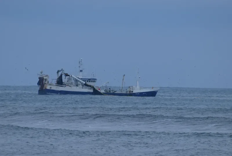 JANUS General Cargo IMO 6821638 photo 9