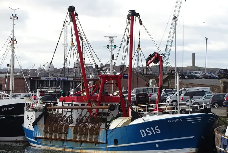 CLASINA General Cargo IMO 6821652
