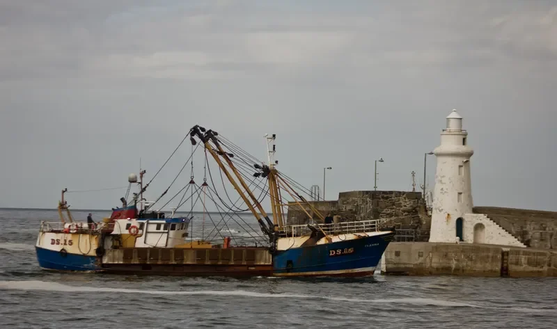 CLASINA General Cargo IMO 6821652 photo 6