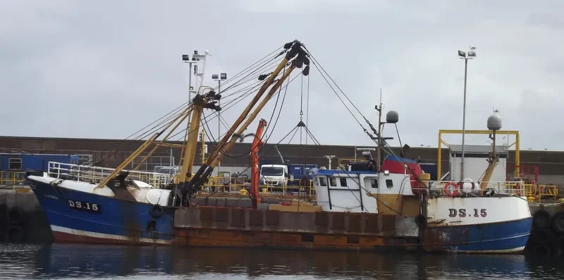 CLASINA General Cargo IMO 6821652 photo 7