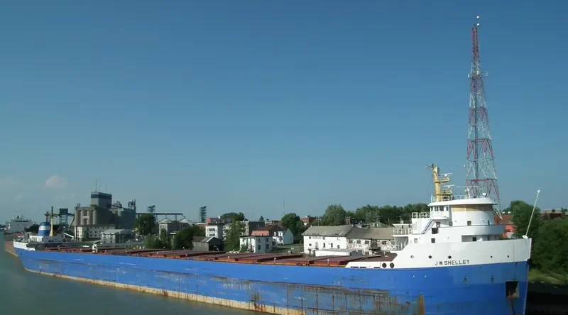 PHOENIX STAR Bulk Carrier IMO 6821937 photo 3
