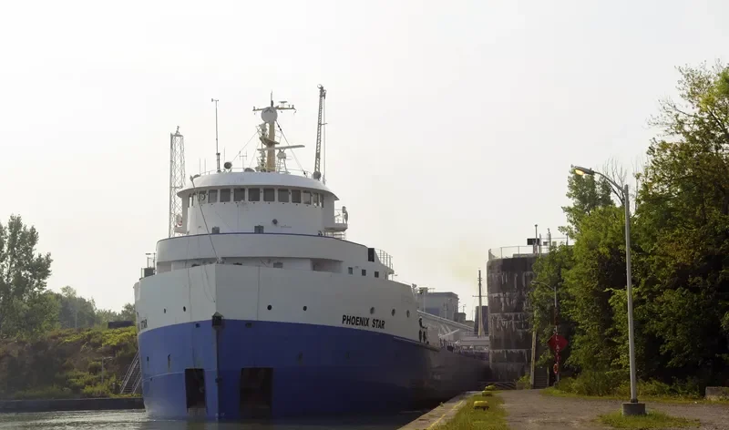 PHOENIX STAR Bulk Carrier IMO 6821937 photo 5