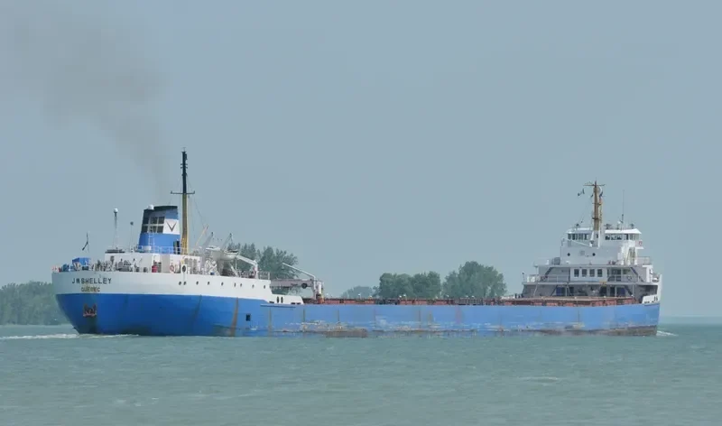 PHOENIX STAR Bulk Carrier IMO 6821937 photo 8