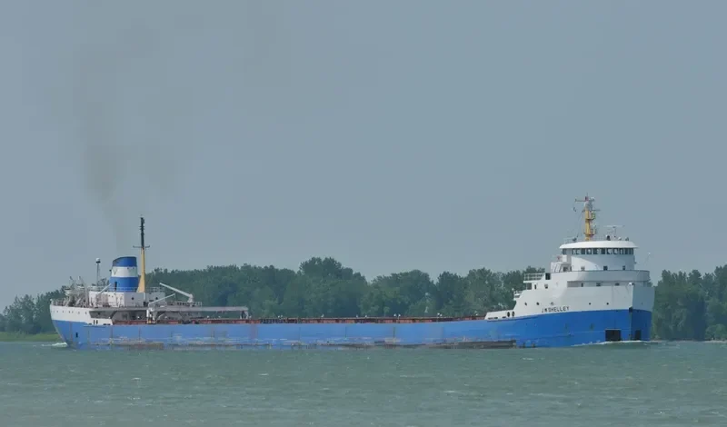 PHOENIX STAR Bulk Carrier IMO 6821937 photo 9