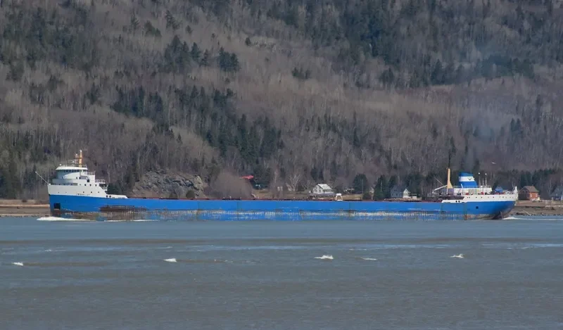 PHOENIX STAR Bulk Carrier IMO 6821937 photo 10