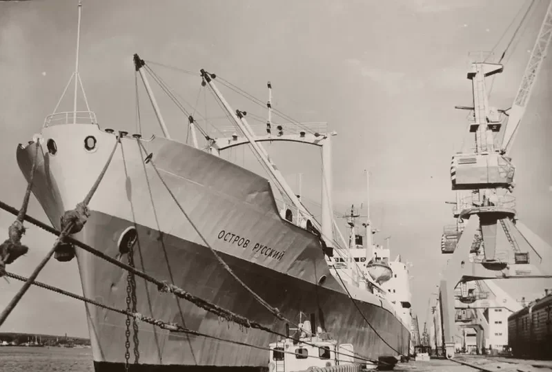 RUSU SALA General Cargo IMO 6823985
