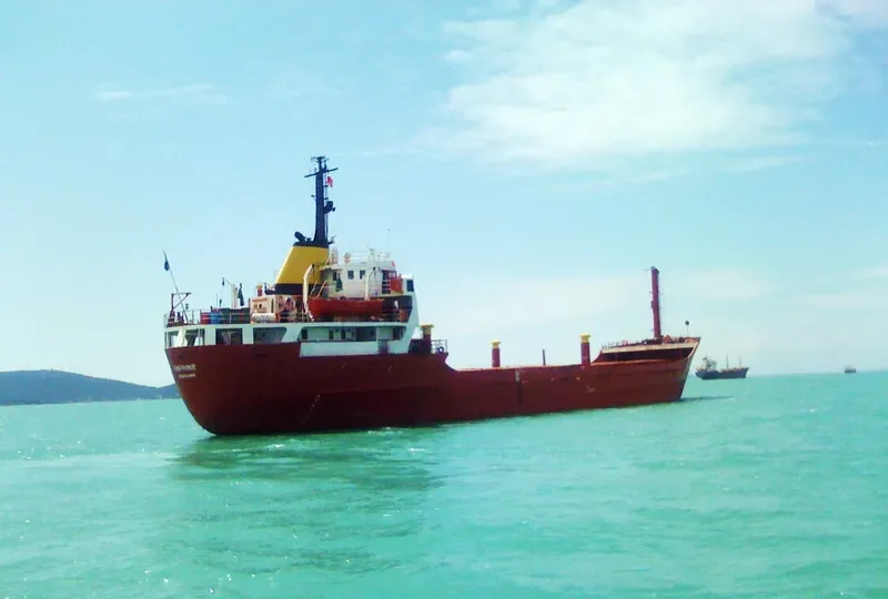 DAPHNE General Cargo IMO 6824422 photo 2
