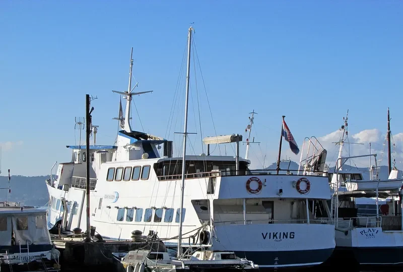 VIKING Passenger Ship IMO 6825696 photo 4