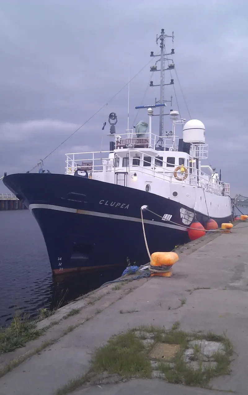 CLUPEA General Cargo IMO 6825842 photo 7