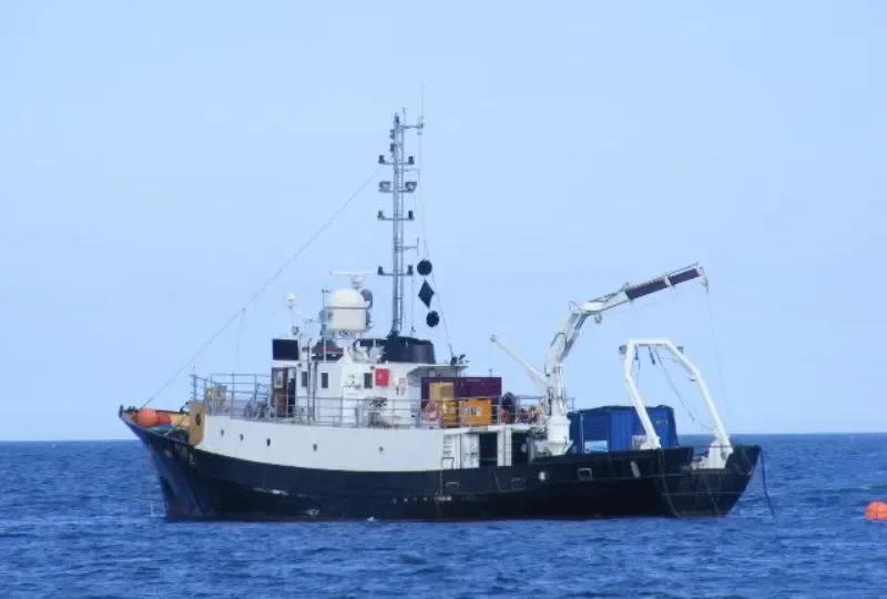 CLUPEA General Cargo IMO 6825842 photo 8