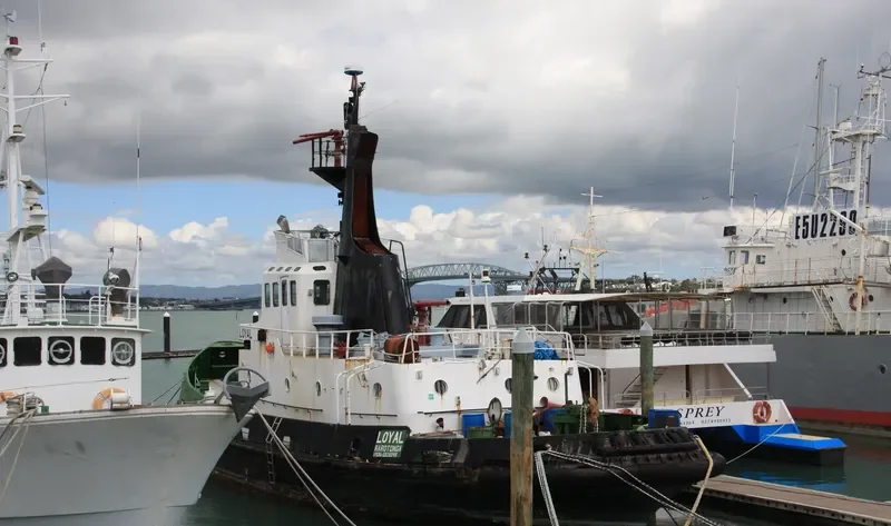 LOYAL General Cargo IMO 6826949