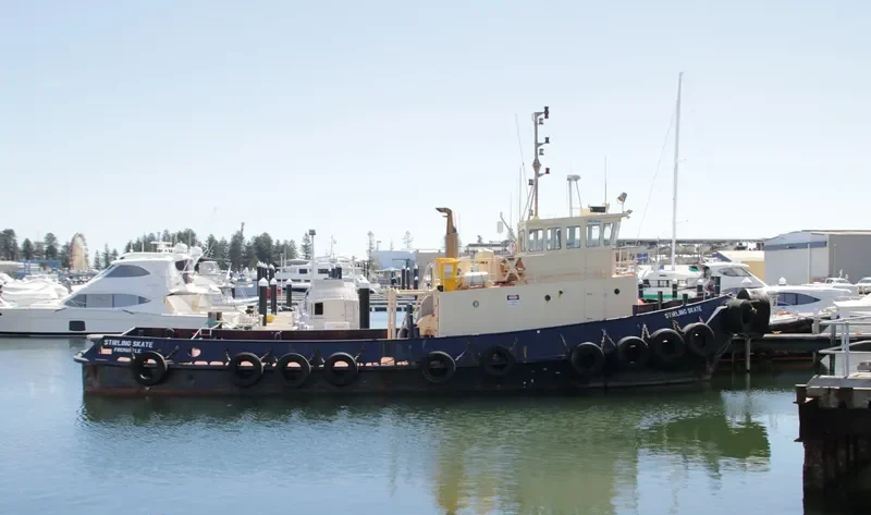 STIRLING SKATE General Cargo IMO 6827981 photo 7