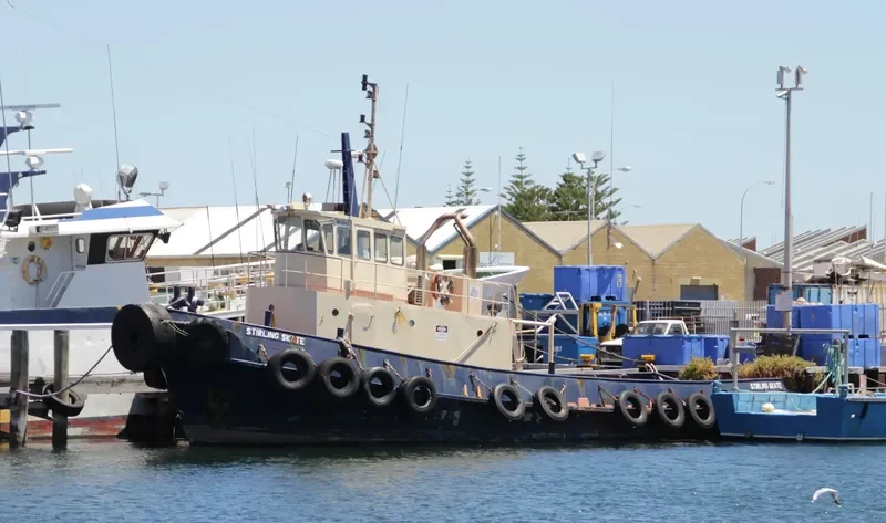 STIRLING SKATE General Cargo IMO 6827981 photo 9