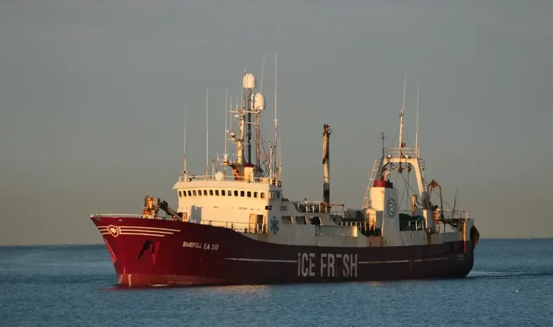 SNAEFELL General Cargo IMO 6828923 photo 2