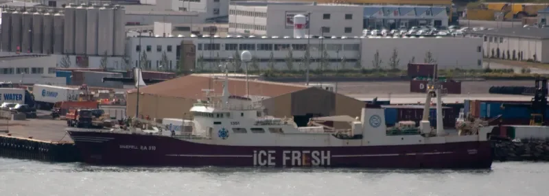 SNAEFELL General Cargo IMO 6828923 photo 3