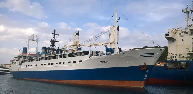 BECCARIA General Cargo IMO 6829082