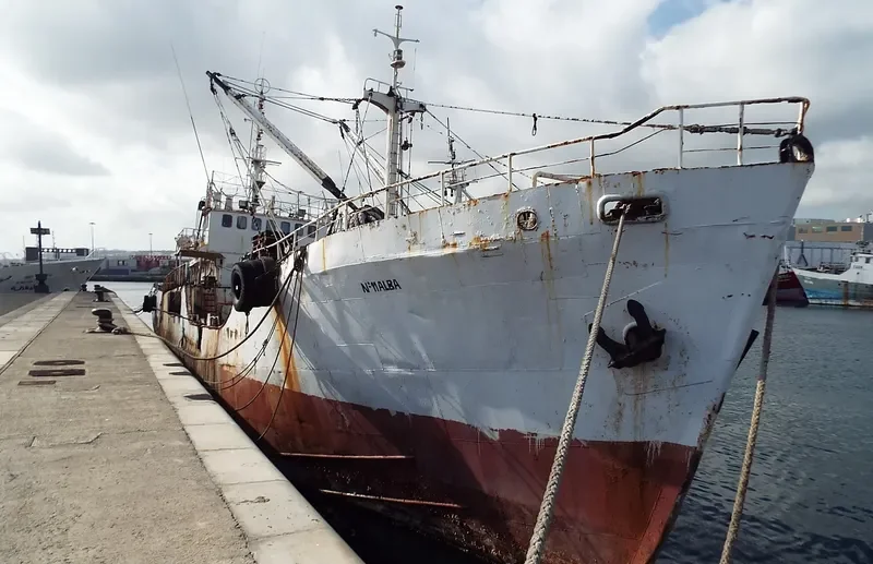 ALBA NO.11 General Cargo IMO 6829288