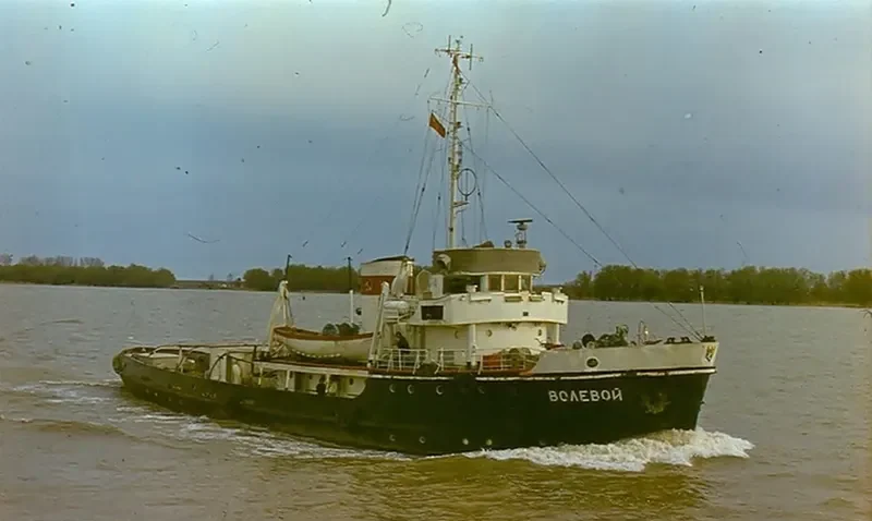VOLEVOY General Cargo IMO 6853382
