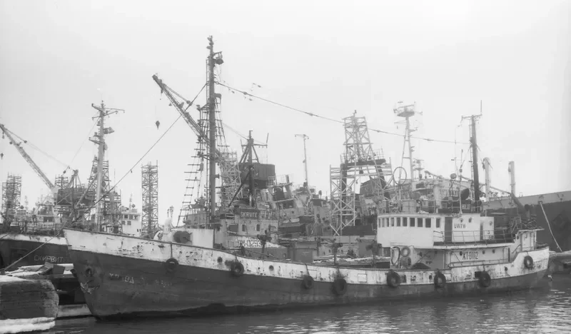KHOLOD Fishing Vessel IMO 6873057