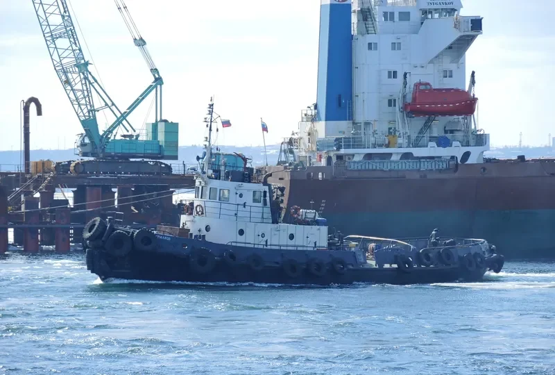 VASILIY KIRILLOV Tug Boat IMO 6874829 photo 10
