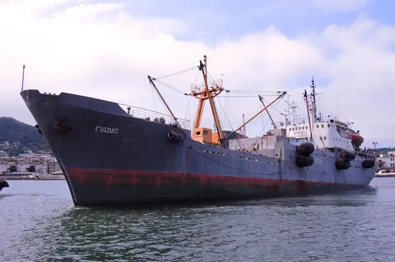GUTSUL General Cargo IMO 6900068