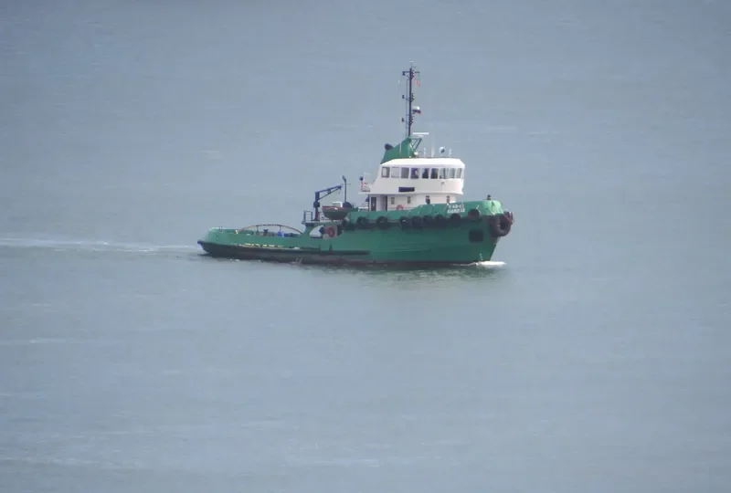 GUARDIAO Tug Boat IMO 6901488 photo 7