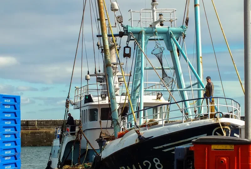HOLLY ANNE Fishing Vessel IMO 6904519 photo 8