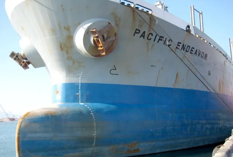 PACIFIC ENDEAVOR General Cargo IMO 6904832 photo 3