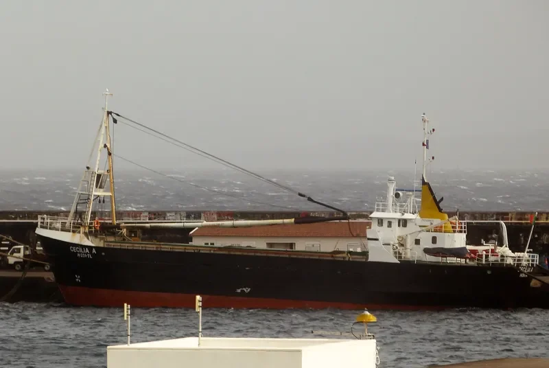 CECILIA A General Cargo IMO 6904870 photo 5