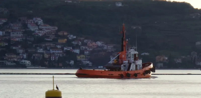 SEA Tug Boat IMO 6906737 photo 3