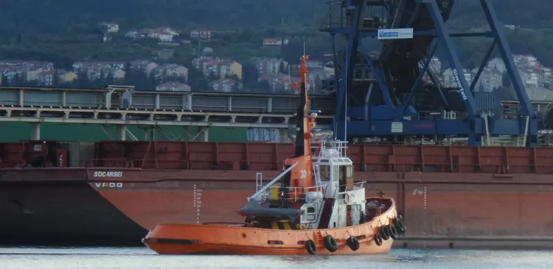 SEA Tug Boat IMO 6906737 photo 5