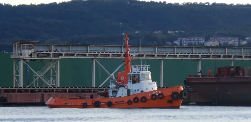 SEA Tug Boat IMO 6906737 photo 6