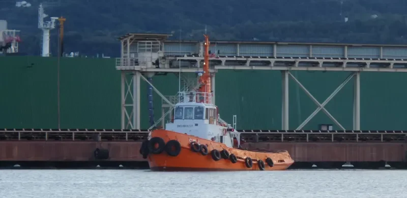 SEA Tug Boat IMO 6906737 photo 7