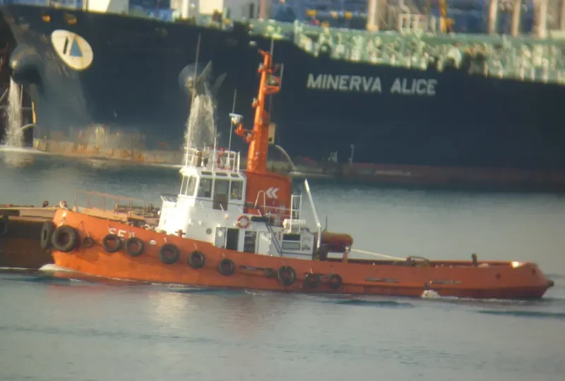 SEA Tug Boat IMO 6906737 photo 8